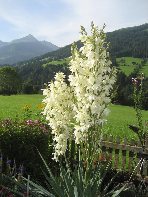 Apartment Acker Alpbach Buitenkant foto